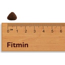 Fitmin Mini Performance 3 kg