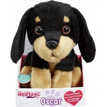 Little Light up Soft Pet, Oscar