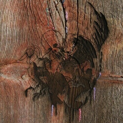 Avey Tare Slasher Flicks - Enter The Slasher House (180 g) (2 LP) (0887828033119)