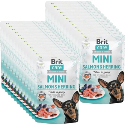 Brit Care Mini Losos a sleď sterilovaný 24 x 85 g