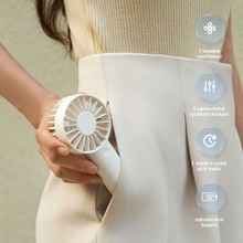 Airbi Fan Mini BI6030