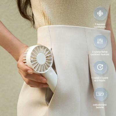Airbi Fan Mini BI6030