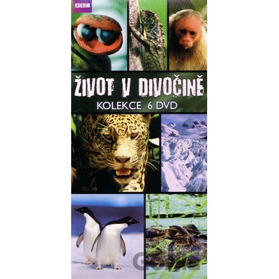 Život v divočine 6 DVD