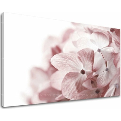 Obraz na stenu KVETY - 100x150