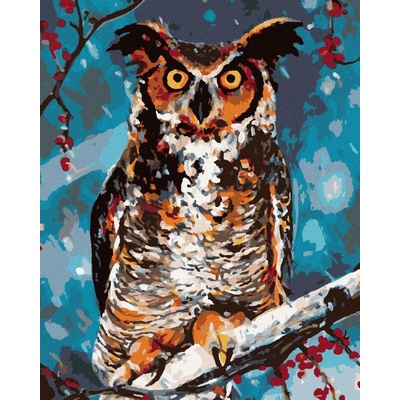 zuty Malování Podle Čísel Sova V Lese 40 x 50 Cm Plátno Rám