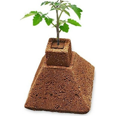 HGA Eazy Plug HGA Garden Eazy Pyramíd, pestovateľské médium 4 ks Variant: 1 ks