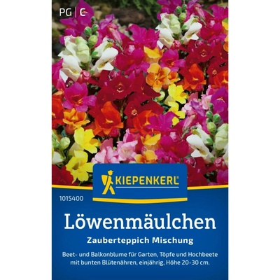 Kiepenkerl Snapdragon Magic Carpet Mix Antirrhinum majus