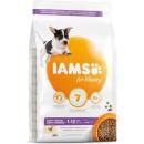 IAMS Dog Puppy Small & Medium Chicken 12 kg