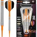 Target soft 16g Raymond van Barneveld 80% wolfram RVB