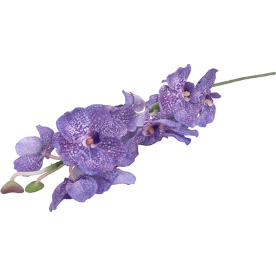 KS ORCHIDEA 80CM SVETLO ZELENO-RUŽOVÁ