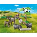 Stavebnice Playmobil PLAYMOBIL 71307 Krajina