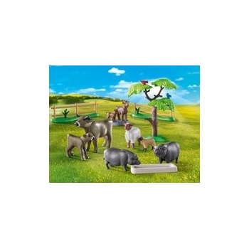 PLAYMOBIL 71307 Krajina