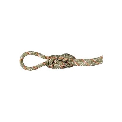 Mammut 9.5 Gym Classic 50 m