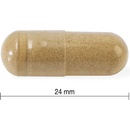 Jamieson Ashwagandha 600 mg 60 kapsúl