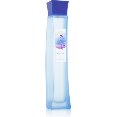 Annayake Kiji for Him toaletná voda pánska 100 ml