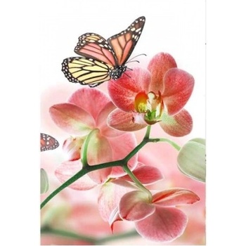 DIMEX ART s. r. o Флизелинов фототапет пеперуди и орхидеи 150 x 250 см
