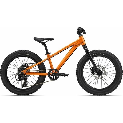 Giant STP 20 2025