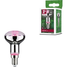 Paulmann LED žiarovka na rast rastlín GROW ZELENÁ R50 E14/4W/230V