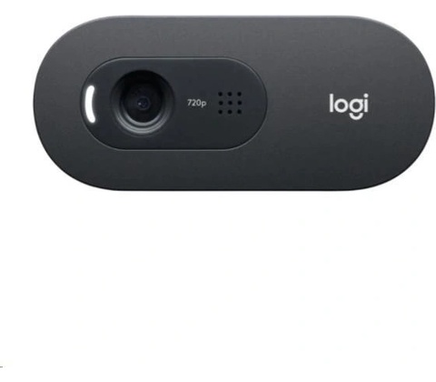 Logitech C505 HD Webcam