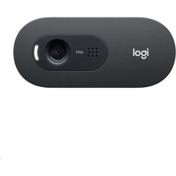 Logitech C505 HD Webcam