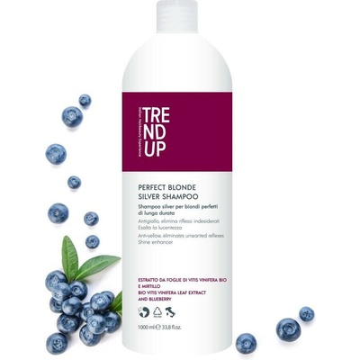 Trend up SILVER Šampon pro blond vlasy pro neutralizaci žlutých tónů oživení barvy 1000 ml