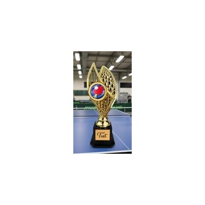 Poháry Bauer Designová trofej AV1M31 Stolní tenis
