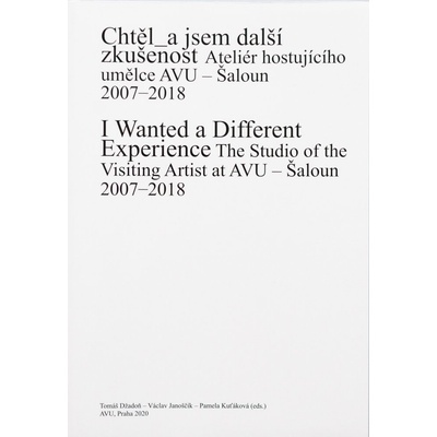 Chtěl_a jsem další zkušenost - Ateliér hostujícího umělce AVU. Šaloun 2007-2018