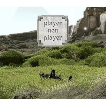 Player Non Player