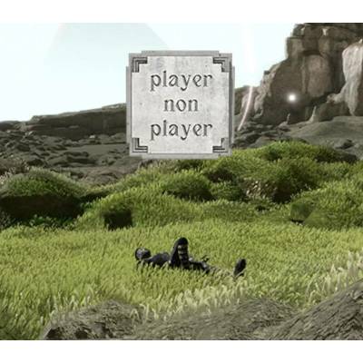 Player Non Player
