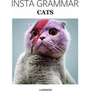 Insta Grammar: Cats