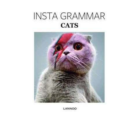 Insta Grammar: Cats