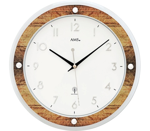 AMS 5565