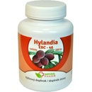 Natural Pharm Hylandia Blushwood EBC-46 tabliety 200 ks