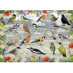 Gibsons - Puzzle Blissful Birds - 1 000 piese