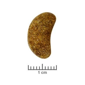 Royal Canin Veterinary Diet Dog Renal Select 2 kg