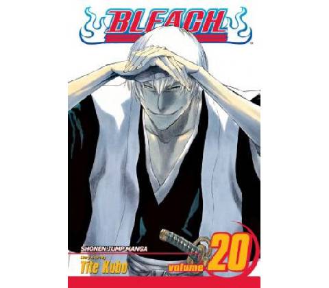 Bleach, Vol. 20
