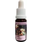 PHI Essences Пречиства и освобождава от негативни мисли - Есенция Джел № 15, капки 15 ml (15 CLASSIC)