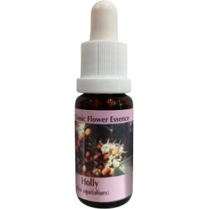 PHI Essences Пречиства и освобождава от негативни мисли - Есенция Джел № 15, капки 15 ml (15 CLASSIC)