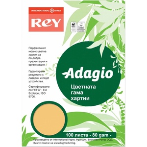 REY Хартия за лазерен печат Rey Adagio - 100102030 (100102030)