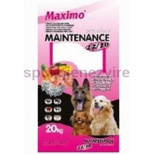 Delikan Dog MAXIMO Maintenance 20 kg