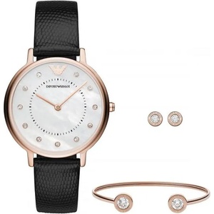 Giorgio Armani Emporio Armani AR80011 Часовници
