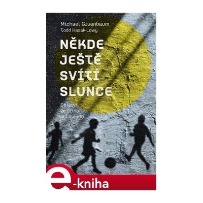 Někde ještě svítí slunce. Dětství ve stínu holokaustu - Michael Gruenbaum, Todd Hasak-Lowy