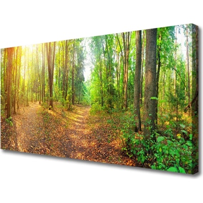 Obraz na plátně Les Příroda 100x50 cm