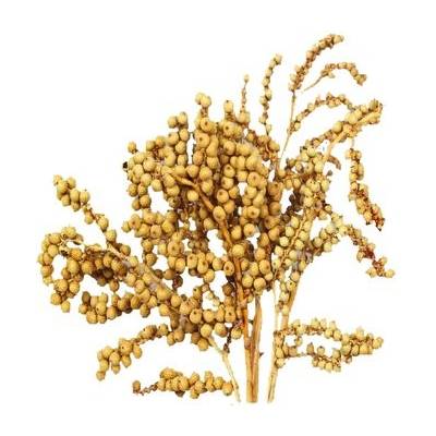 Dekorace - Canella cobs přírodní min. 30 g