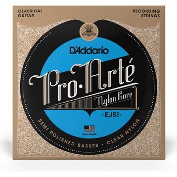 D'addario EJ51