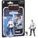 Hasbro Star Wars Vintage Collection Cal Kestis Action Jedi Survivor