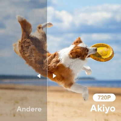 Akiyo O1