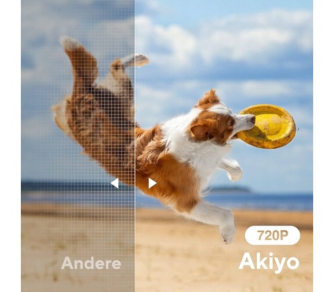 Akiyo O1