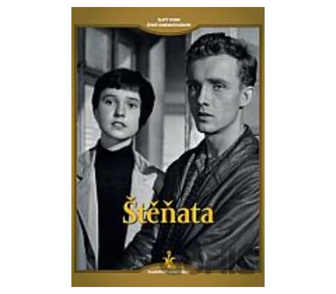 Štěňata DVD