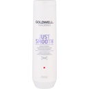 Goldwell Dualsenses Just Smooth Taming Shampoo 250 ml